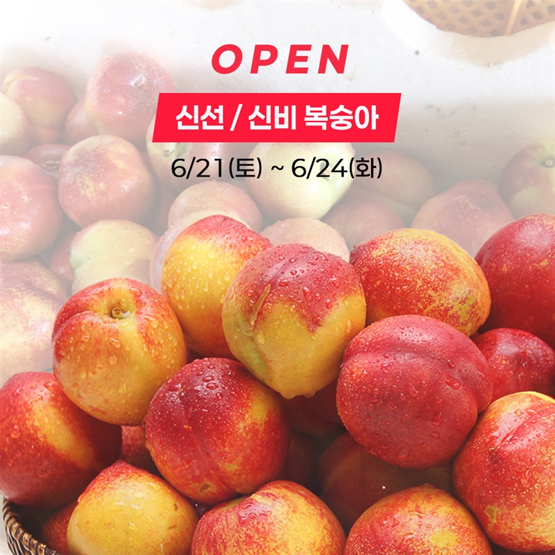 뀨희 대표님 X 신비&신선 복숭아