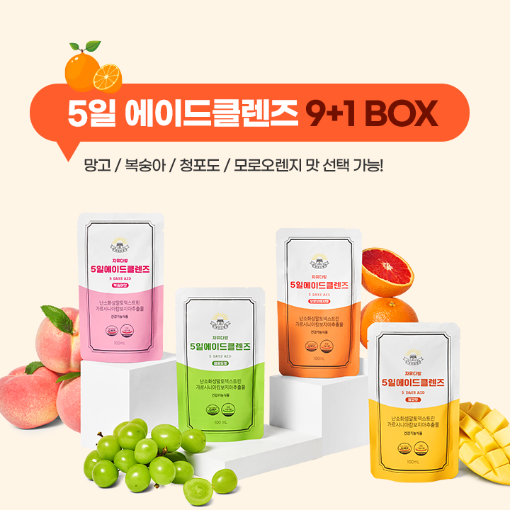[자유다방 5일에이드 클렌즈] 9+1박스 맛 선택