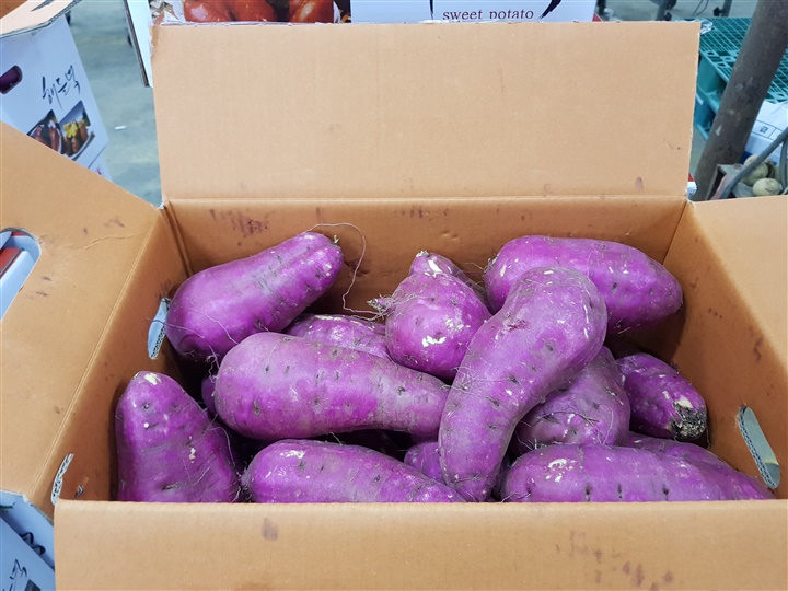 믿고 드시는 해들녘 꿀고구마 로얄사이즈