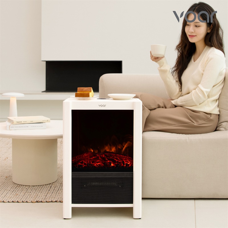 '보아르' 플라미오 불멍 히터