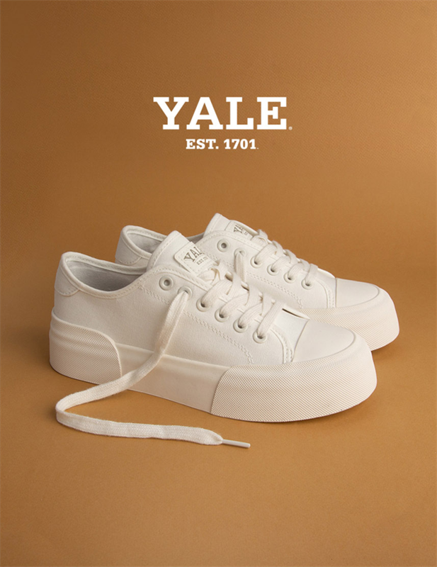 [예맘네 공구] 예일 스니커즈 5종 open