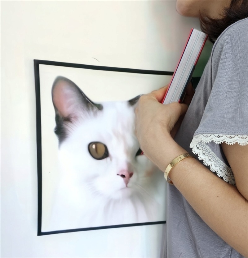 [파격할인가] 도도하다 쿨잠 이지웨어