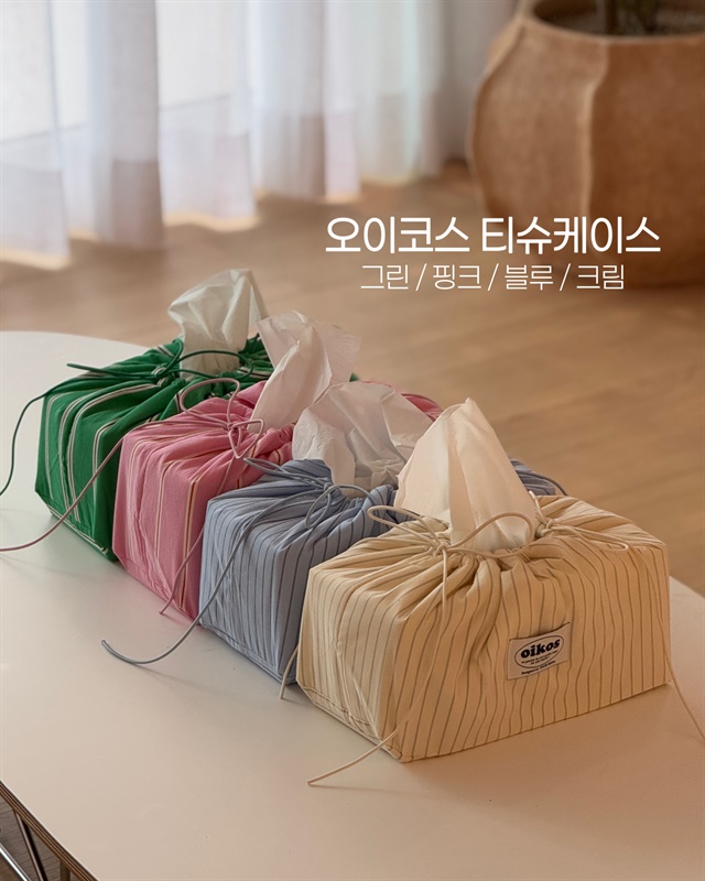 오이코스 티슈케이스										
