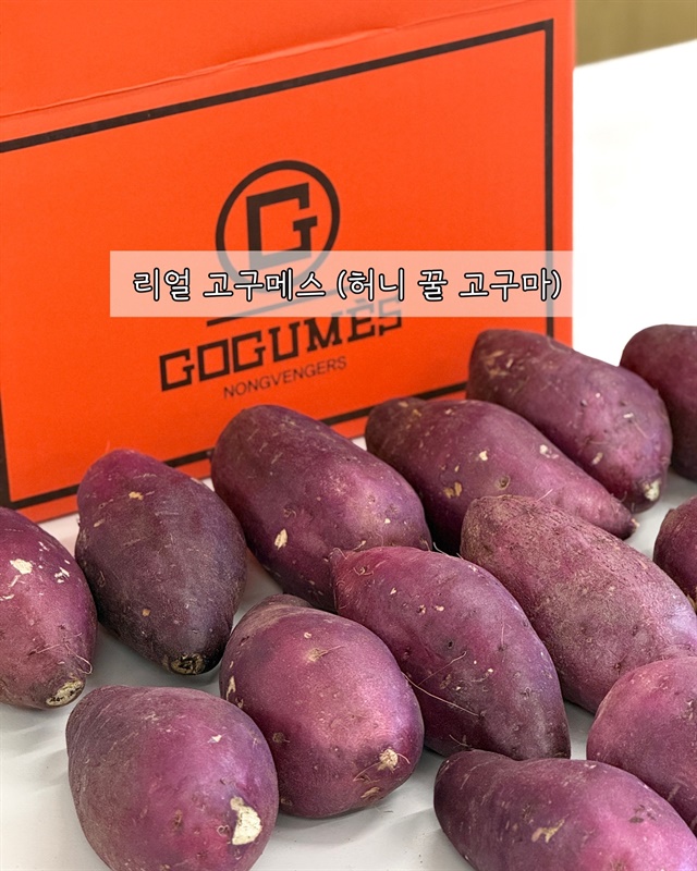 리얼 고구메스 (허니 꿀 고구마)