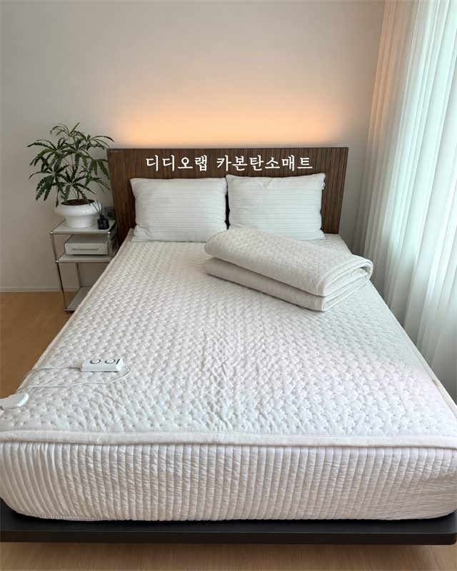 디디오랩 카본탄소 매트