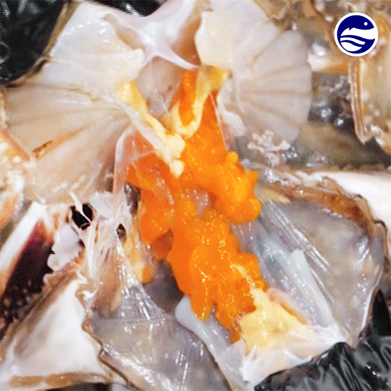 [서해안] 알배기 암꽃게1kg(4-6미)