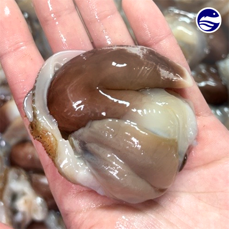 [제철] 여수 손질 새조개 200g!