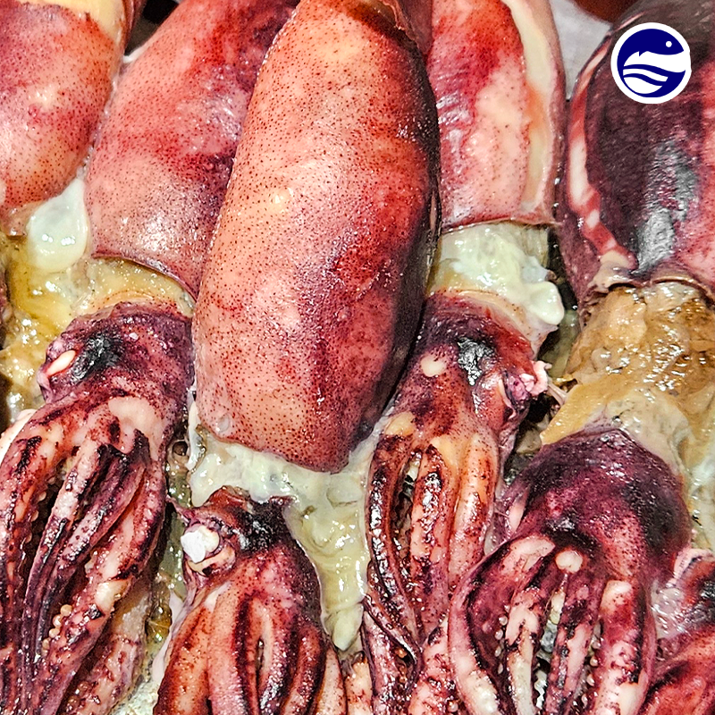 급냉 서해안 통찜오징어 500g(3-5미)